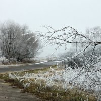 В последние дни ноября :: Елена Кирьянова