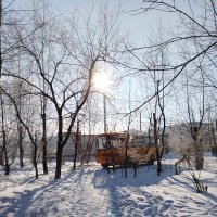 Автобус :: Дарья 