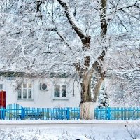 Вот и мы дождались снега! Теперь бы только не растаял до Нового года! :: Восковых Анна Васильевна 