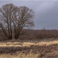 Поздняя осень :: Валентин Котляров