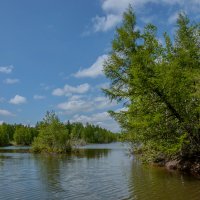 ФОТОЗАРИСОВКА ...  УГОЛОК ПРИРОДЫ ... :: Владимир Железнов