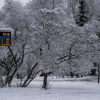 Мой голод ИЖЕВСК - ул. Пушкинская :: Владимир Максимов