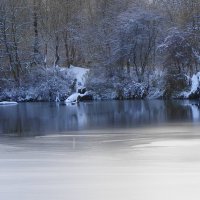 Парк Южный, Калининград :: Рита Симонова