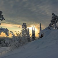 Зимнее солнце :: Vladimbormotov 