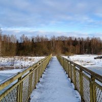 Мост через озеро (репортаж из поездок по области). :: Милешкин Владимир Алексеевич 