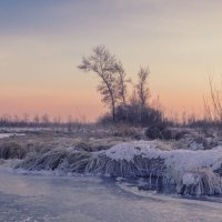 Зимний берег водоема. :: Николай Привалов