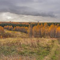 Палитра октября... :: Владимир Жданов