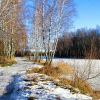 Тёплый (+2°), солнечный декабрьский день. :: Милешкин Владимир Алексеевич 