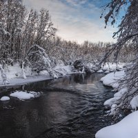 ... :: Жора Житников