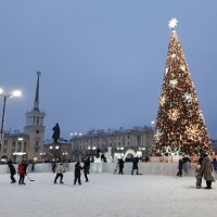 С наступающим Новым годом! :: Галина Минчук