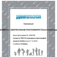 Diploma from fotokto ;) :: MAHMOOD • iNKSTECHSHUB PHOTOGRAPHY