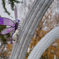 Украшения к Новому году... :: Николай Саржанов