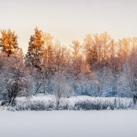 Зима :: Владимир Колесников