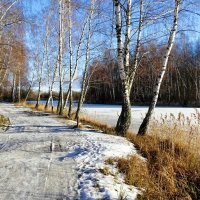 Отличный декабрьский день. :: Милешкин Владимир Алексеевич 