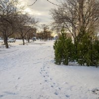 Аллея в снегу :: Анатолий Чикчирный