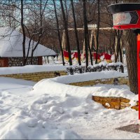 Аттракцион :: Александр Тарноградский