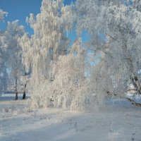 Сказочный лес :: Валентина Богатко 