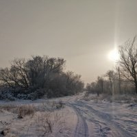 Зимнее Солнце :: Андрей Хлопонин