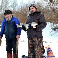 Солидный улов! :: Михаил. 