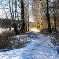 Смоленщина в декабре (репортаж из поездок по области). :: Милешкин Владимир Алексеевич 