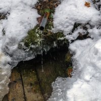 На родник за водой :: Сергей Цветков