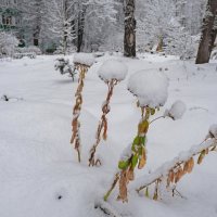 Зима в Городе :: юрий поляков