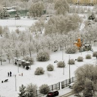 Последний день ушедшего года порадовал снегопадом. :: Татьяна Помогалова