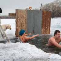 Моржовый сезон :: Валерий Михмель 