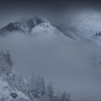 БЕЗМОЛВИЕ :: Влад Соколовский