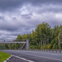 Выезжаю на "Пекинку",это по пешеходному переходу :: Сергей Цветков