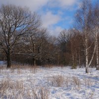 Солнечный денек :: Андрей Зайцев