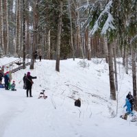 детские забавы :: Владимир 