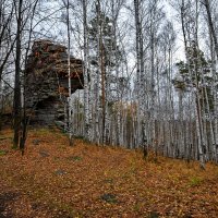 Где - то в октябрьском лесу. :: Юрий кот