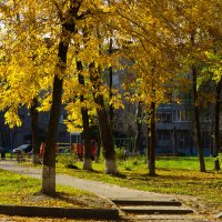 Осеннийт день :: Александр Силинский