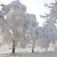 Зима в Усть - Абакане :: Виктор 