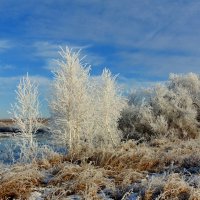 Волшебный день. :: nadyasilyuk Вознюк