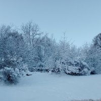 Зимний день :: Сергей Кочнев