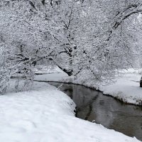 Течёт ручей, бежит ручей... . :: Милешкин Владимир Алексеевич 