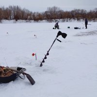 В кругу единомышленников. :: Михаил. 