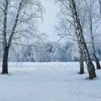 Нарядился к празднику :: Валентина Богатко 