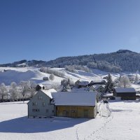 Schweiz...Белоснежное покрывало! :: Галина 