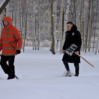 Январь в парке. После снегопада... :: Мария Васильева