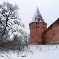 Зимний Смоленск :: Милешкин Владимир Алексеевич 