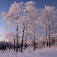 Вечерние контрасты :: Галина Ильясова