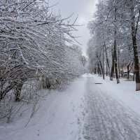 Снежная улица :: Александр Синдерёв