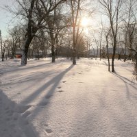 На рассветах января... :: Андрей Заломленков