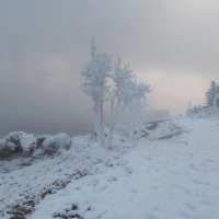 Деревенька у реки :: Марина Фомина.