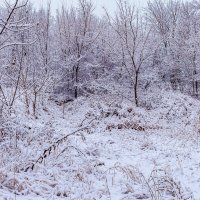 Зимний пейзаж :: Юрий Стародубцев