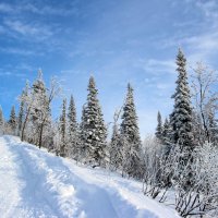 Прекрасная зима!  Шерегеш. :: Евгения Каравашкина