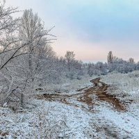 По дороге вдаль зимним утром.. :: Юрий Стародубцев